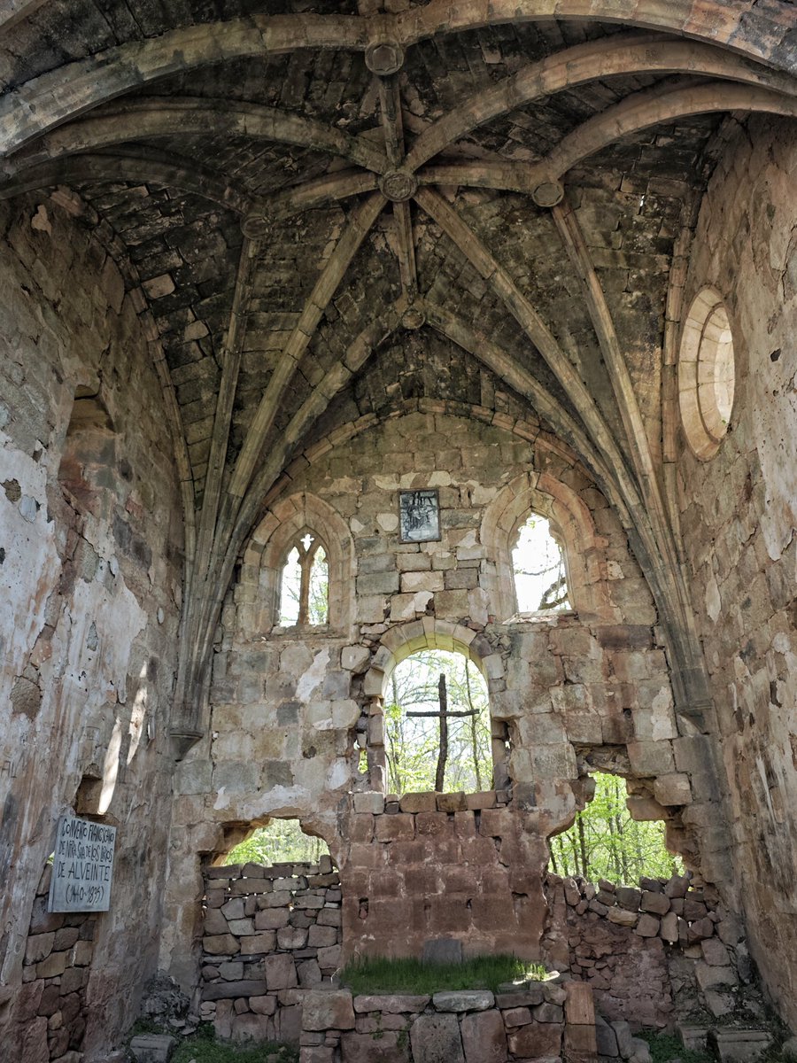 AlFiloInfngible's tweet photo. Buscando variantes, más o menos asfixiantes 🤪

📍Monasterio de Alveinte y Calderas de Matalhierro por Ciudad Encantada

#rute https://t.co/tBWVFmMo8a