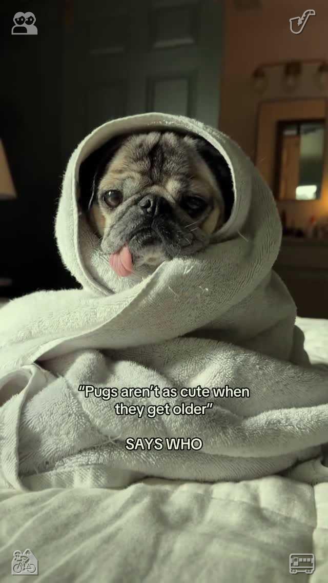 flyflyerz's tweet photo. Have confidence in yourself and everything you represent. Storing Seasonal Winter Attire The scarf has been washed. https://t.co/V9hxLqaElW