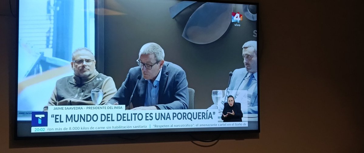 Majo tweet media