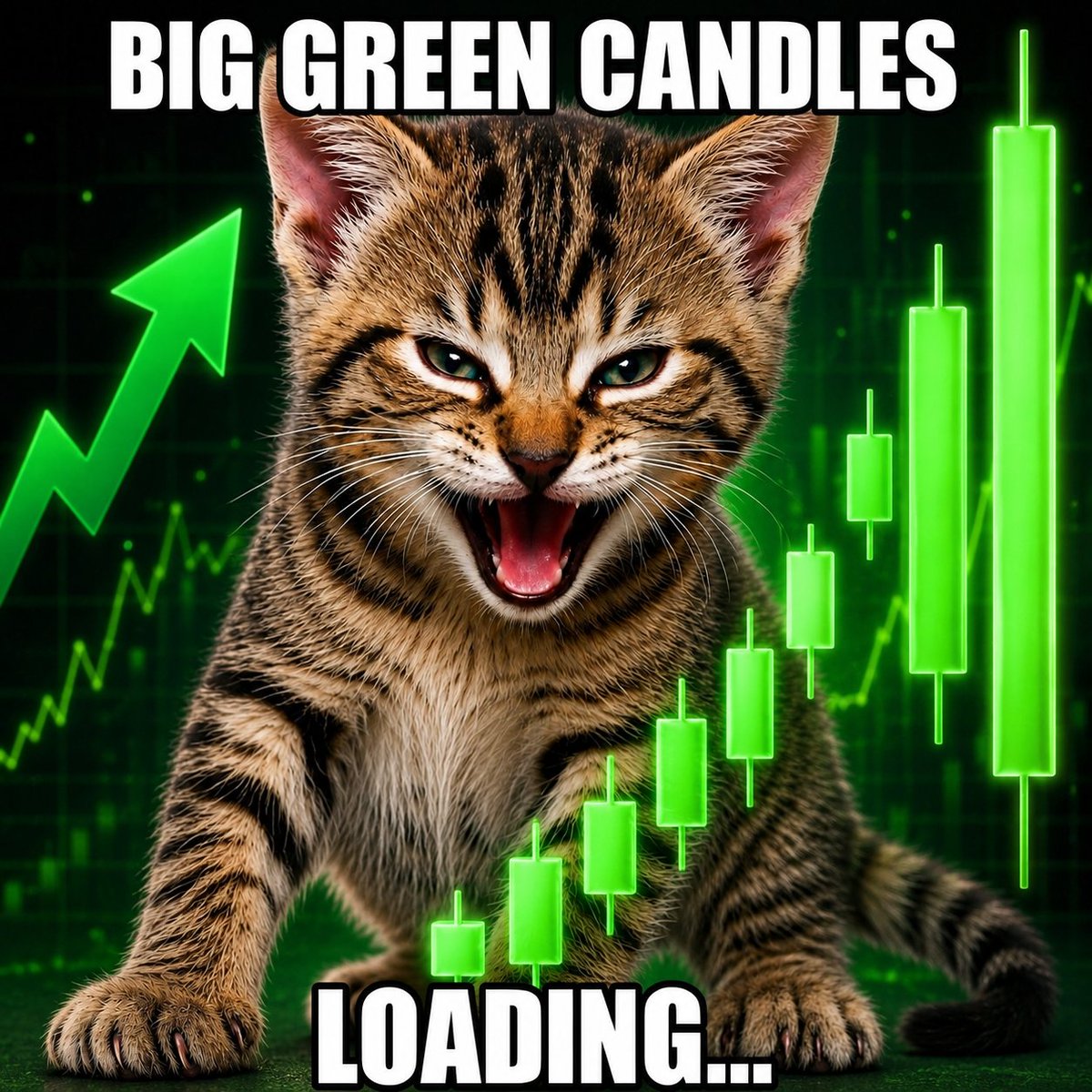 tygreth's tweet photo. Is it time, community ?

Big Green candles loading ...💹🚀 https://t.co/ROW4b4bXua