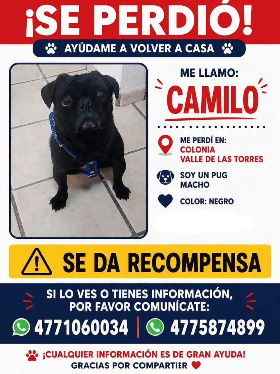 VivoEnLeon's tweet photo. Perrito extraviado.
Zona La Alameda.

Ayuda a difundir, por favor.

@iguanomayor @pequeezquerrall @segusina2 https://t.co/K6nhJex2fz