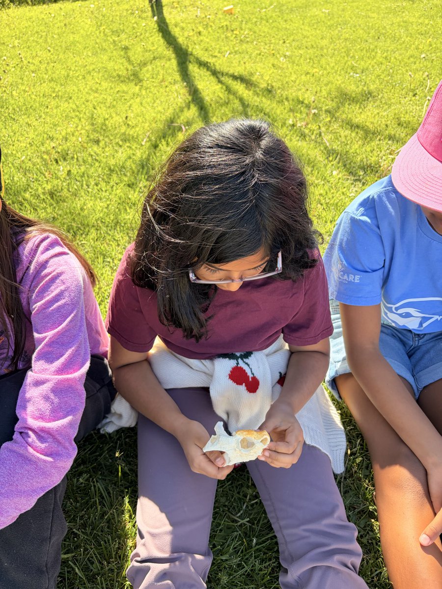 MrsAzizsClass1's tweet photo. We looked at some of Mississauga’s native species! https://t.co/uIrGRv6Qez