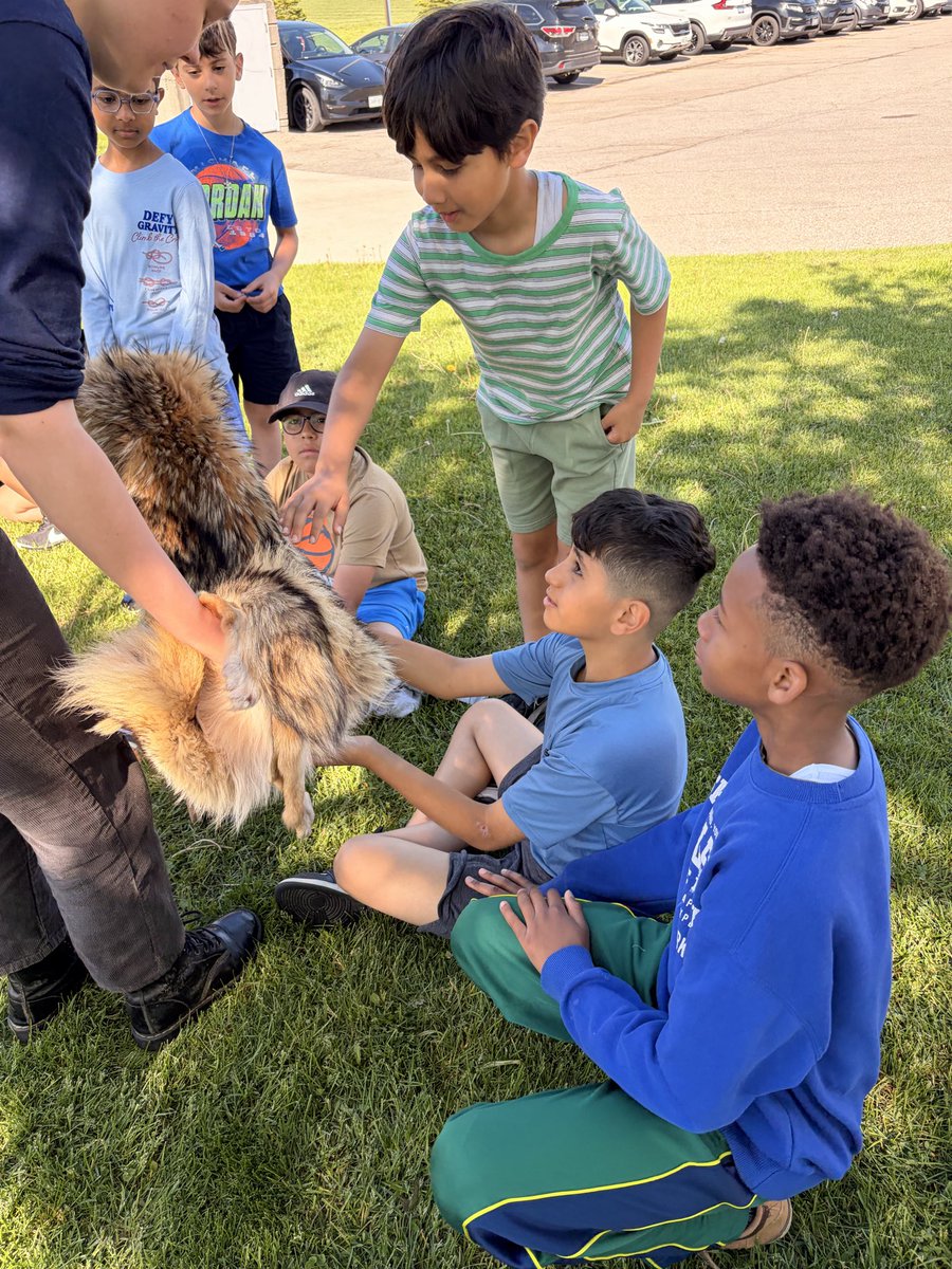 MrsAzizsClass1's tweet photo. We looked at some of Mississauga’s native species! https://t.co/uIrGRv6Qez