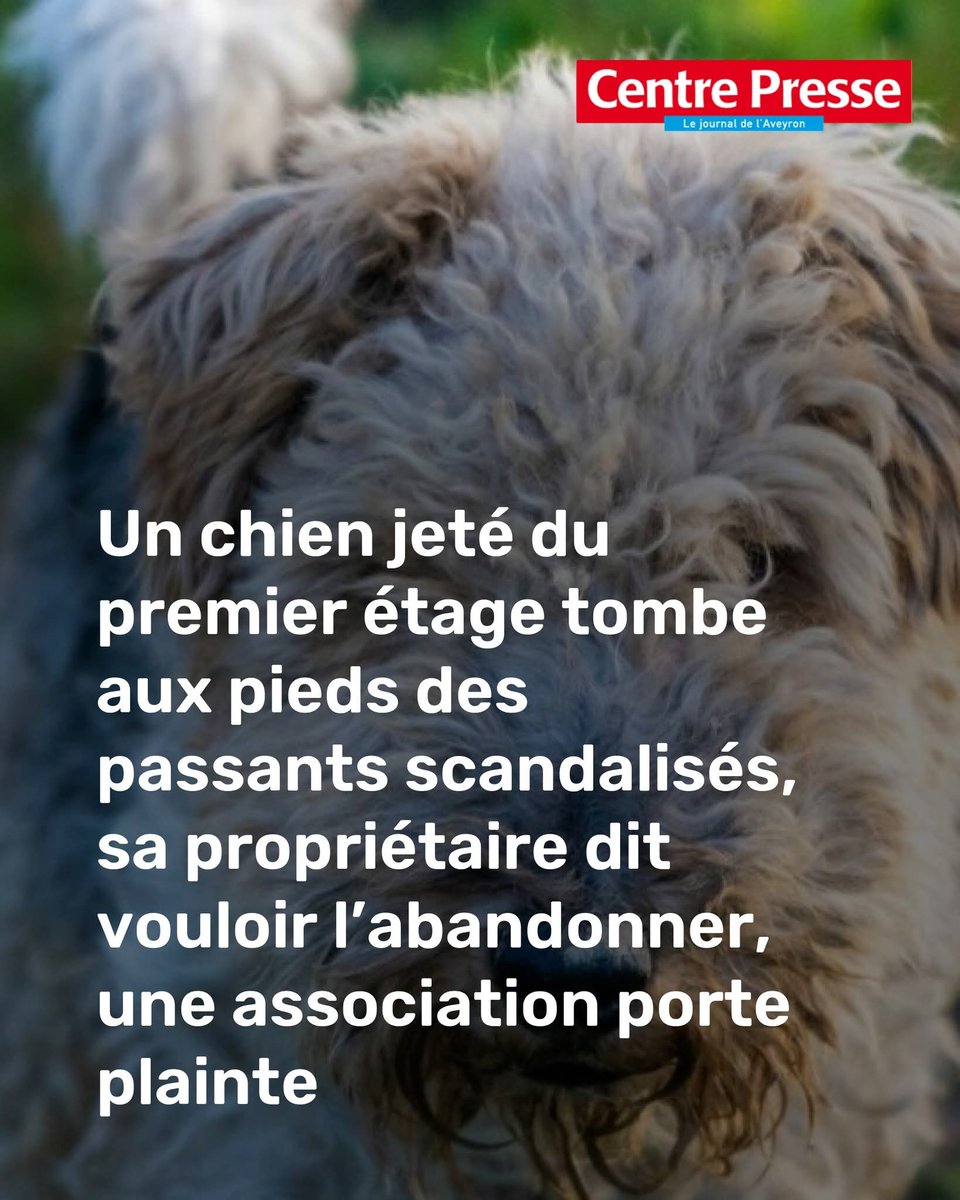 Adea Claude tweet media
