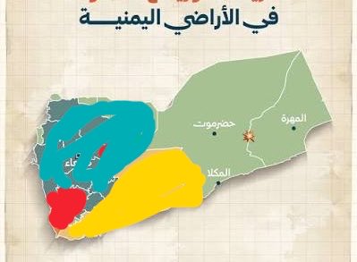 muein seidi tweet media
