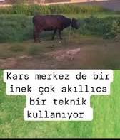 eness #İkinciTedescoDönemi tweet media