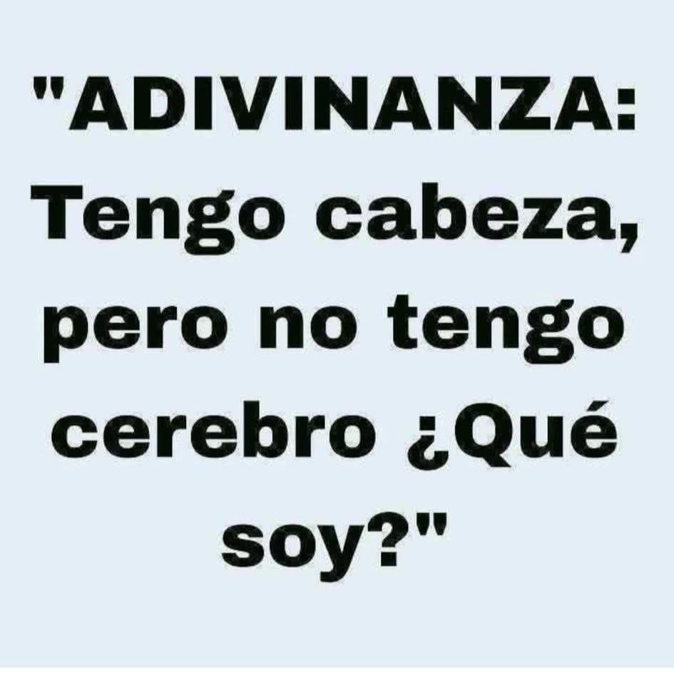 Cayo Marius tweet media