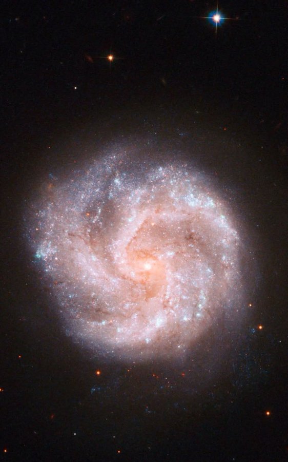 Black Hole tweet media
