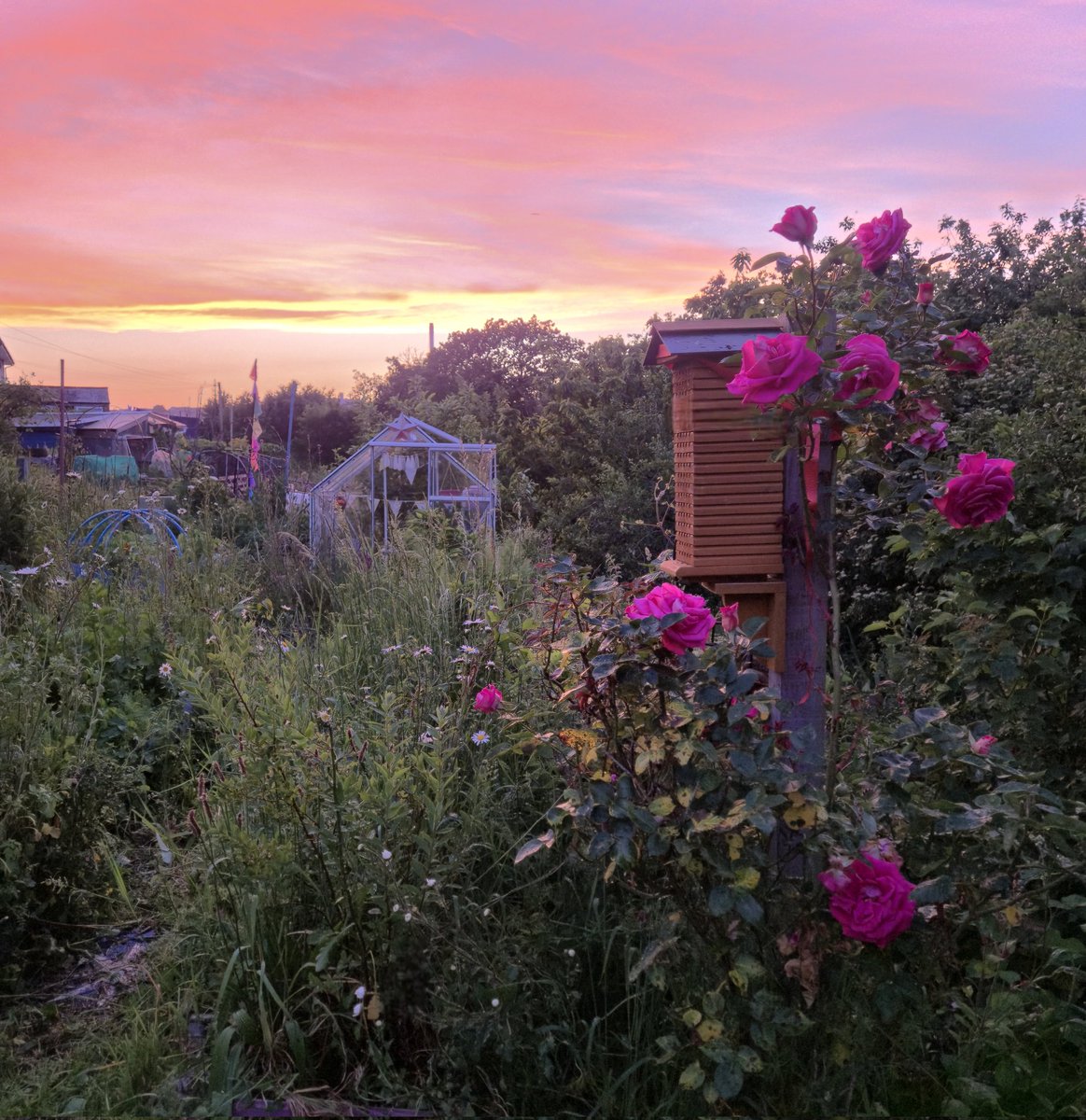 lovely_plot's tweet photo. Embracing the chaos ✨️ ♥️ https://t.co/aAEKcxzJL2