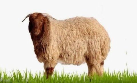 ⫷محمد العنزي⫸ tweet media