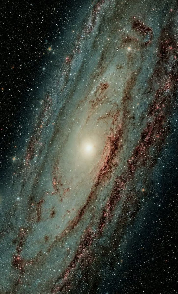 Black Hole tweet media