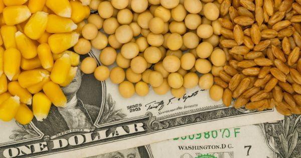 Agrolatam tweet media