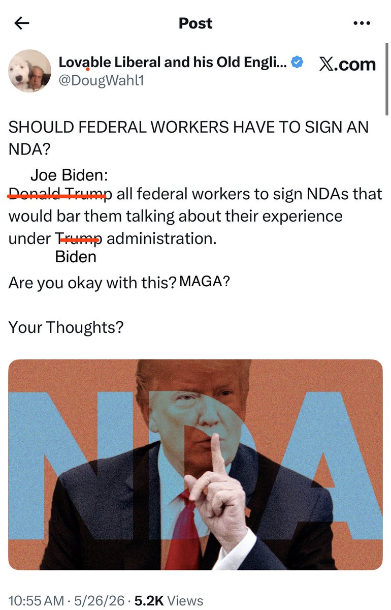 Double Mulligan 🌊🇺🇸🌊 tweet media