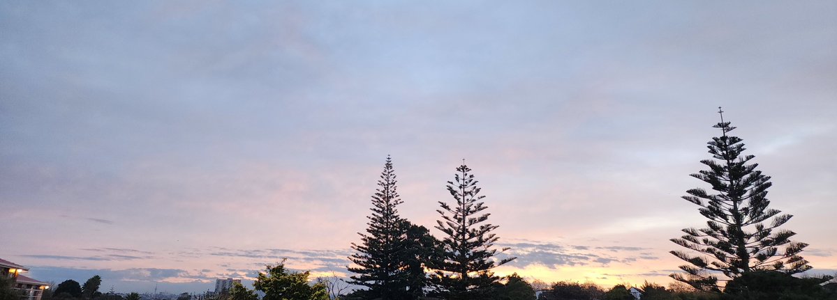 SkyLovingDivaAotearoa tweet media