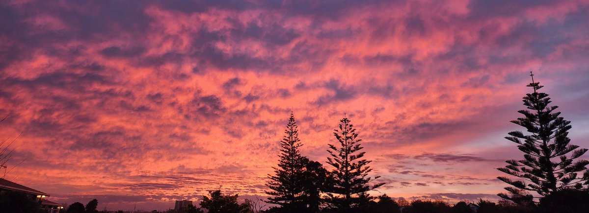SkyLovingDivaAotearoa tweet media