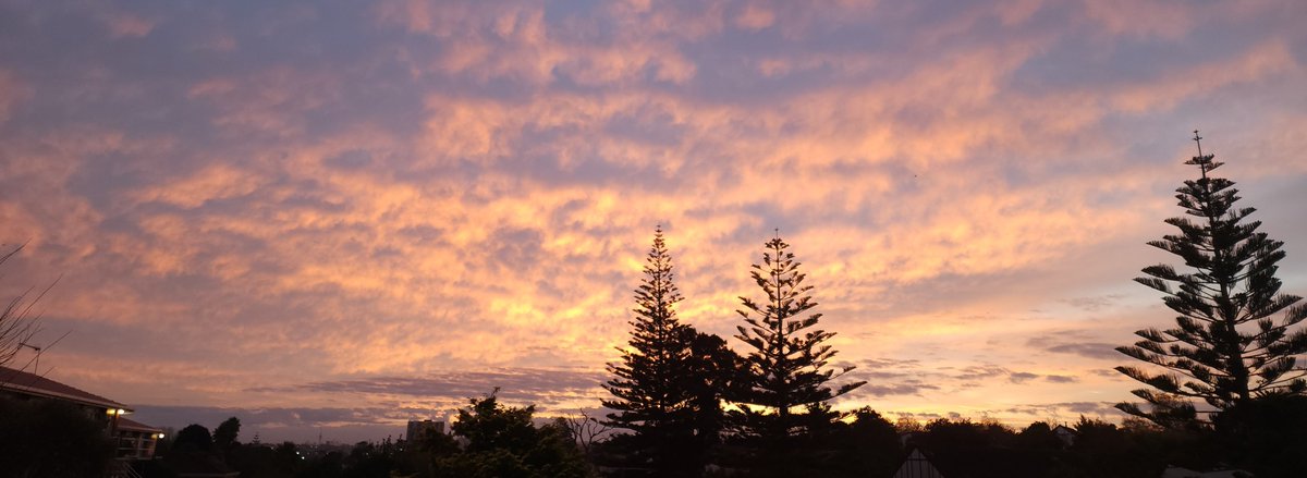 SkyLovingDivaAotearoa tweet media