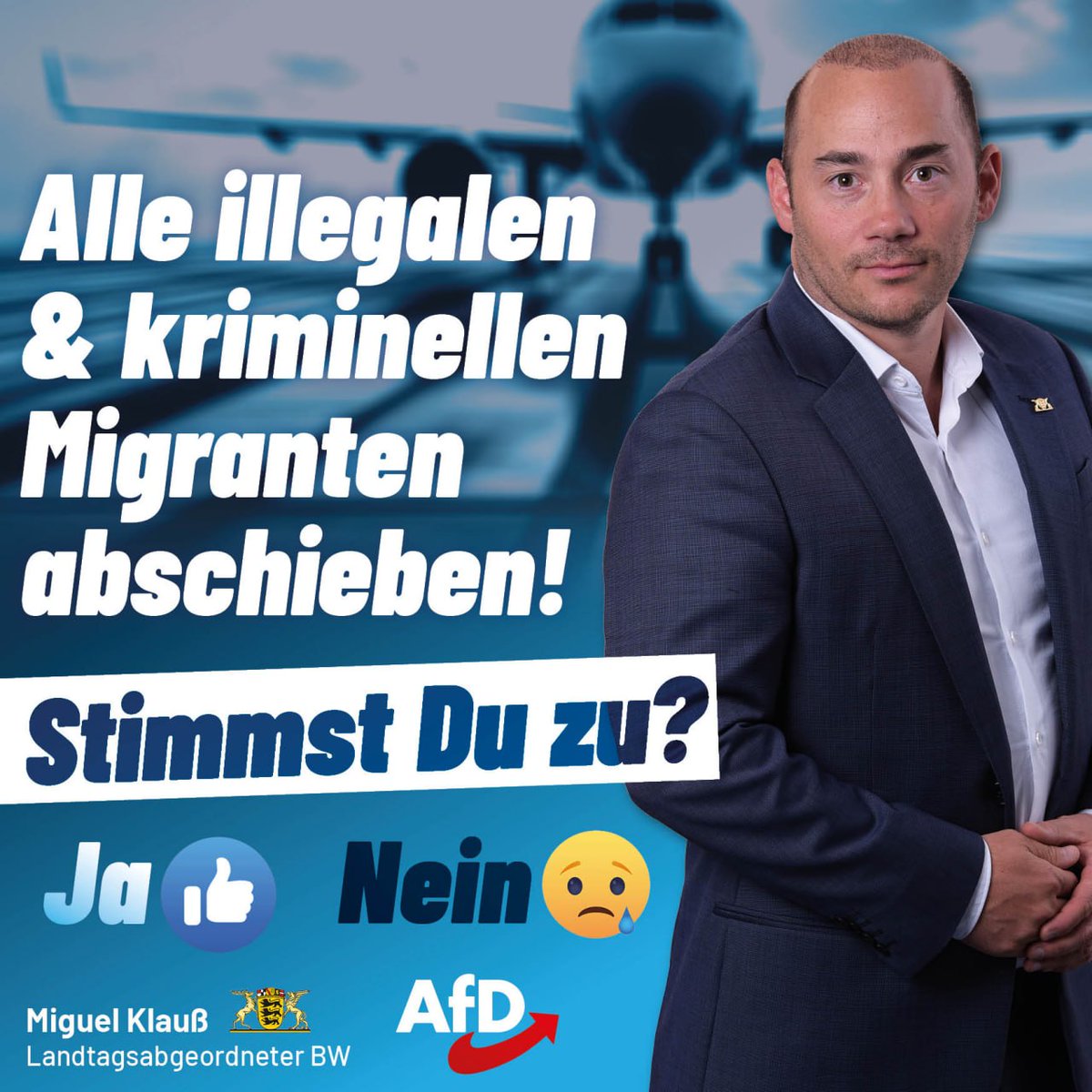 Christian Abel AfD tweet media