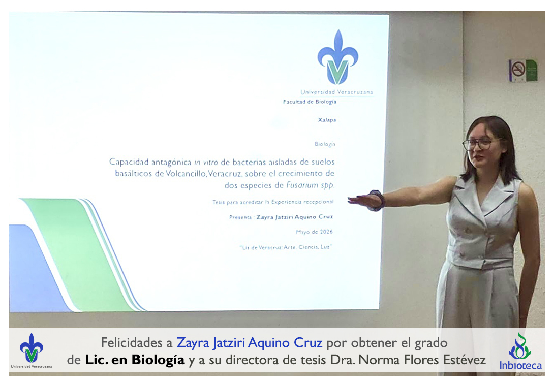 inbioteca tweet media