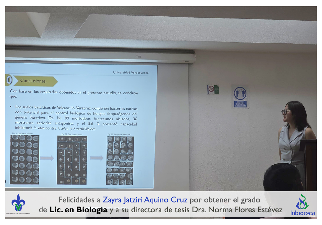 inbioteca tweet media