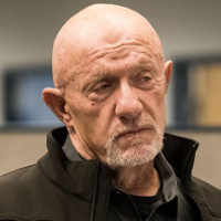 Breaking Bad Daily tweet media