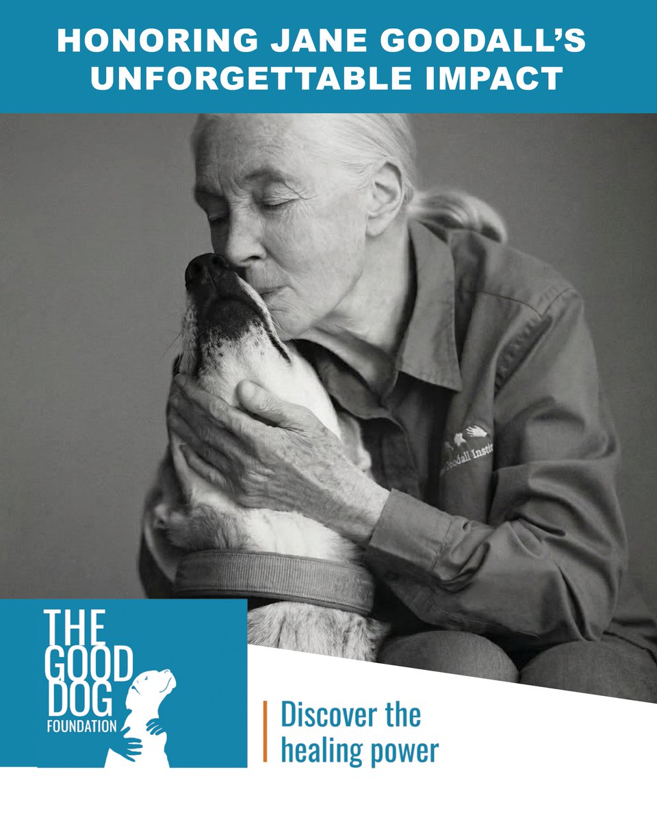 GoodDogTherapy's tweet photo. "My  favorite animal altogether is a dog because dogs have taught me so  much, and dogs are so faithful, and dogs give unconditional love. And I  don't like to think of a world without dogs." — Dr. Jane Goodall, DBE.  Photograph by Giampaolo Sgura. 
 
The  Good Dog Foundation is proud to honor the late ethologist Dr. Jane  Goodall in memoriam, and the Jane Goodall Institute which continues and expands on her work, at our upcoming gala. @TheDogist will be presenting our 2026  Hope & Healing Award to the Jane Goodall Institute USA. 
 
We  were brought together by our common love for dogs and the positive  effect they continue to have on humans. We are proud to recognize the  incredible impact of Jane's advocacy for the human-animal bond and the  protection of all living things. Her well-known love of dogs is a  testament to her love of all animals and decades of advocacy work to  advance animal welfare, and the Jane Goodall Institute carries her  legacy forward. 
 
For more information on our gala, visit: https://t.co/QxO7U4nUJe.