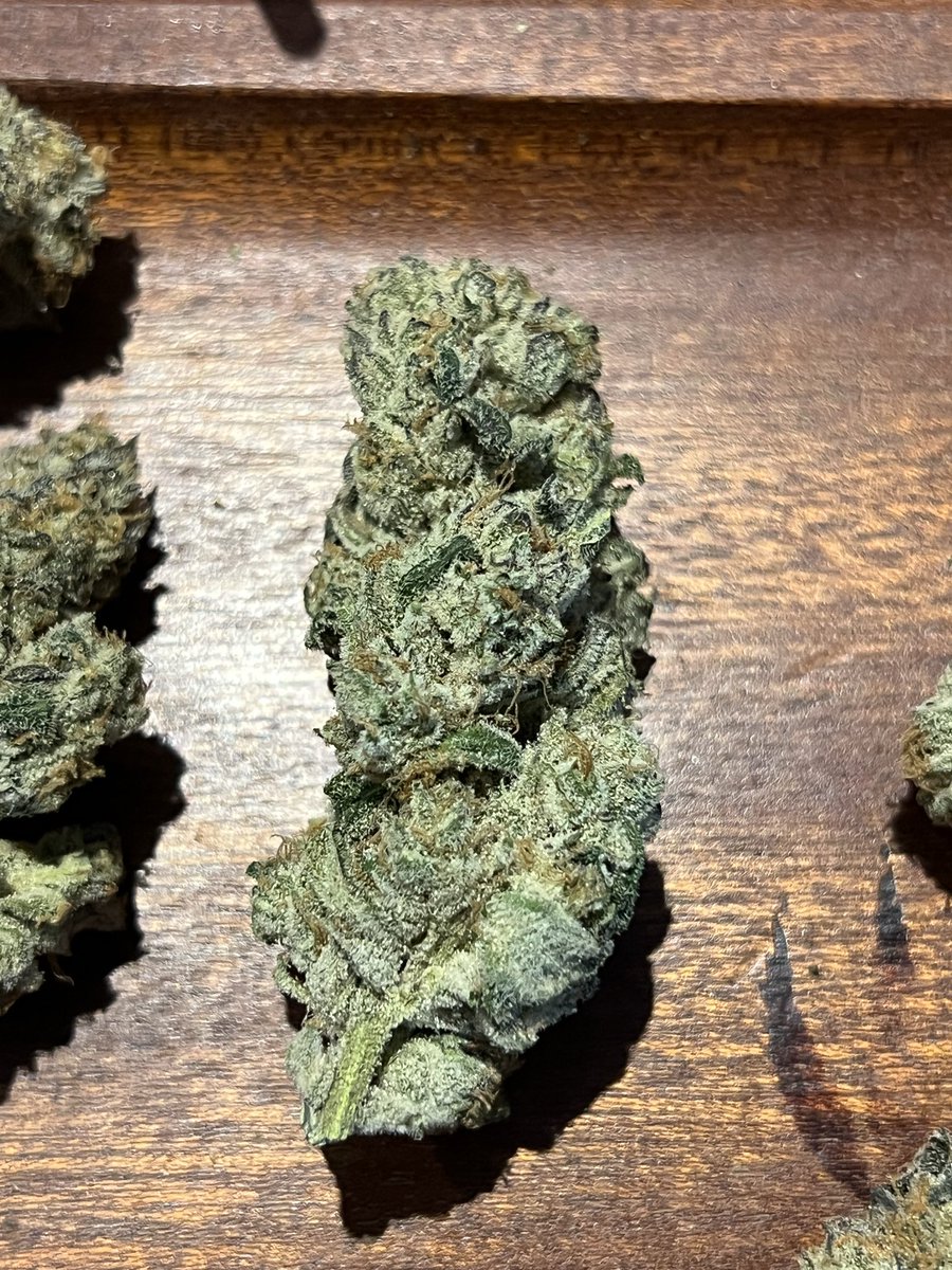 donfazool's tweet photo. The terps on this are amazing. @VicCannabisCo absolutely hit a home run here. I wish you could smell this post. 

@ChimeraGenetics Stellar job breeding this cultivar. Hats off as always.

@KypRowe https://t.co/o98QDfU9wO