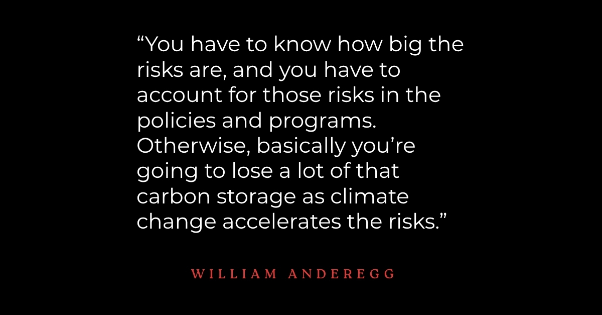 UofUBiology's tweet photo. New research led by Prof. William Anderegg, in collaboration with the @WilkesCenter, uses interactive maps and tools to show where forests are likely to remain strong carbon sinks and where other climate risks may limit their ability to store carbon. https://t.co/zBXrQahc0n