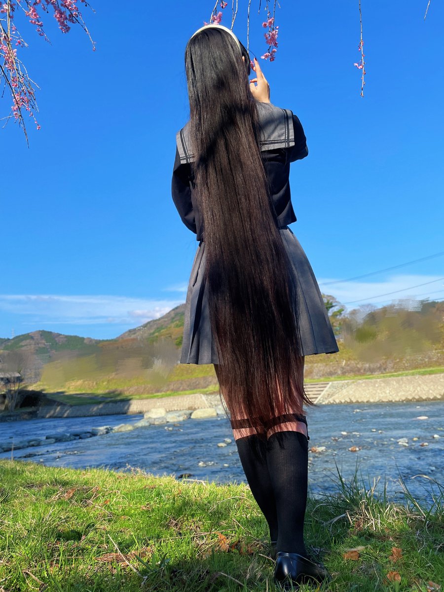 Lilia_りりあ tweet media