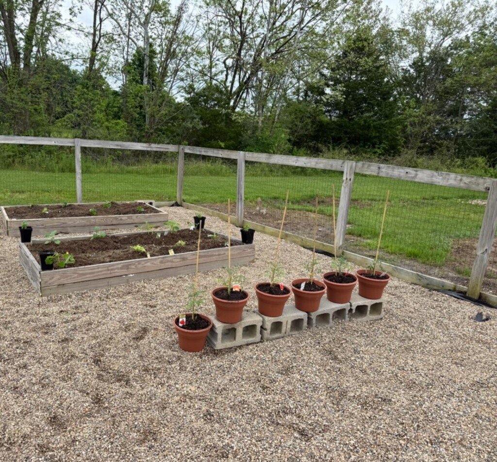EasternLocalSD's tweet photo. Mrs. Campbell and the Vo-Ag classes have poured lots of hard work into the school garden and greenhouse to get them both planted and looking good this spring!! #OnwardEagles https://t.co/R2pwaa5ncu