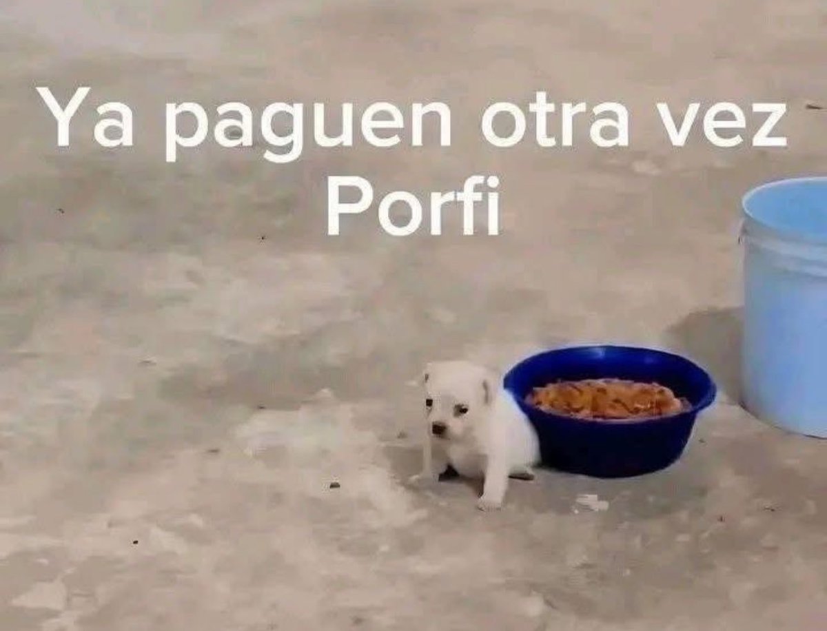 piña sin pizza tweet media