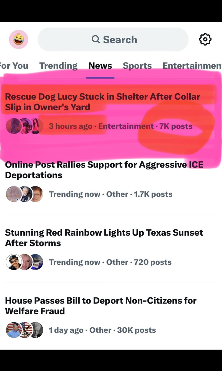 Jenny Lucas tweet media