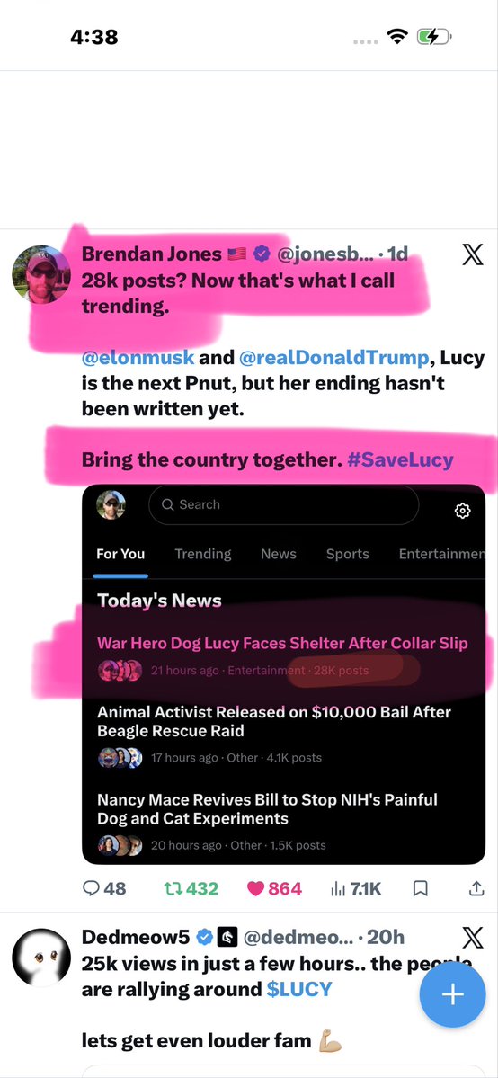 Jenny Lucas tweet media