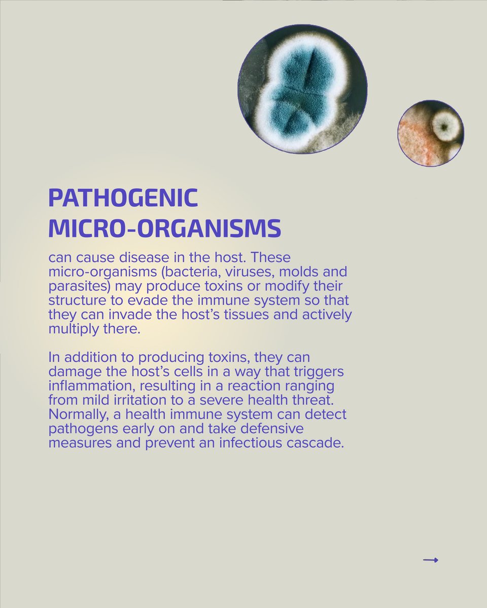 CodexLabsCorp's tweet photo. The human microbiome, which includes trillions of microorganisms, is home to both commensal (good) and pathogenic (bad) microbes.
 
Exploring the specific properties that distinguish these two types of microorganisms can help us understand the mechanisms that influence our health and our susceptibility to infection.  For example, when commensal bacteria are depleted, an abnormal health situation can be triggered due to a lack of the benefits these bacteria provide rather than the overgrowth of pathogens.
 
This is why scientists and medical researchers are trying to investigate the microbiome – so that they can teach us how to care for it and improve our health.
 
#codexlabs #biohacking #biotechnology #bioscience #skincare #acne #hormonalacne #bodyacne #guthealth #probiotics #microbiome