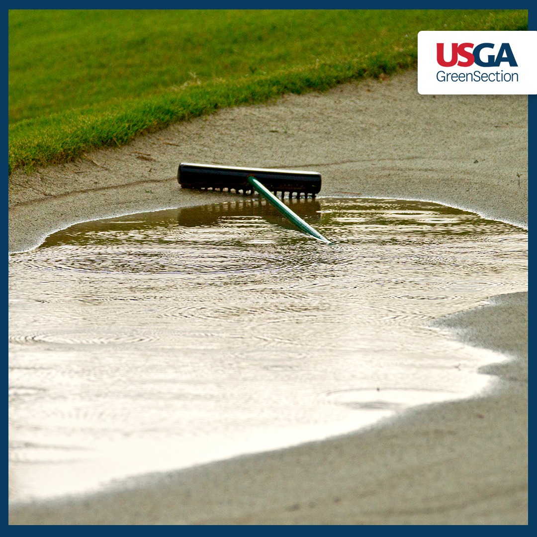 USGAGrnSection's tweet photo. If your bunker sand isn't performing like it used to, it may be time for replacement 👇