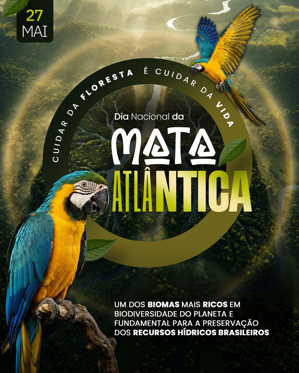 ANAgovbr's tweet photo. 🌳💧 No Dia Nacional da Mata Atlântica, a ANA reforça a importância da preservação desse bioma, fundamental para a proteção dos rios, das nascentes e da segurança hídrica de milhões de brasileiros

Cuidar da Mata Atlântica é também cuidar da água e do futuro🌿

 #Sustentabilidade https://t.co/PM5oU09RUg
