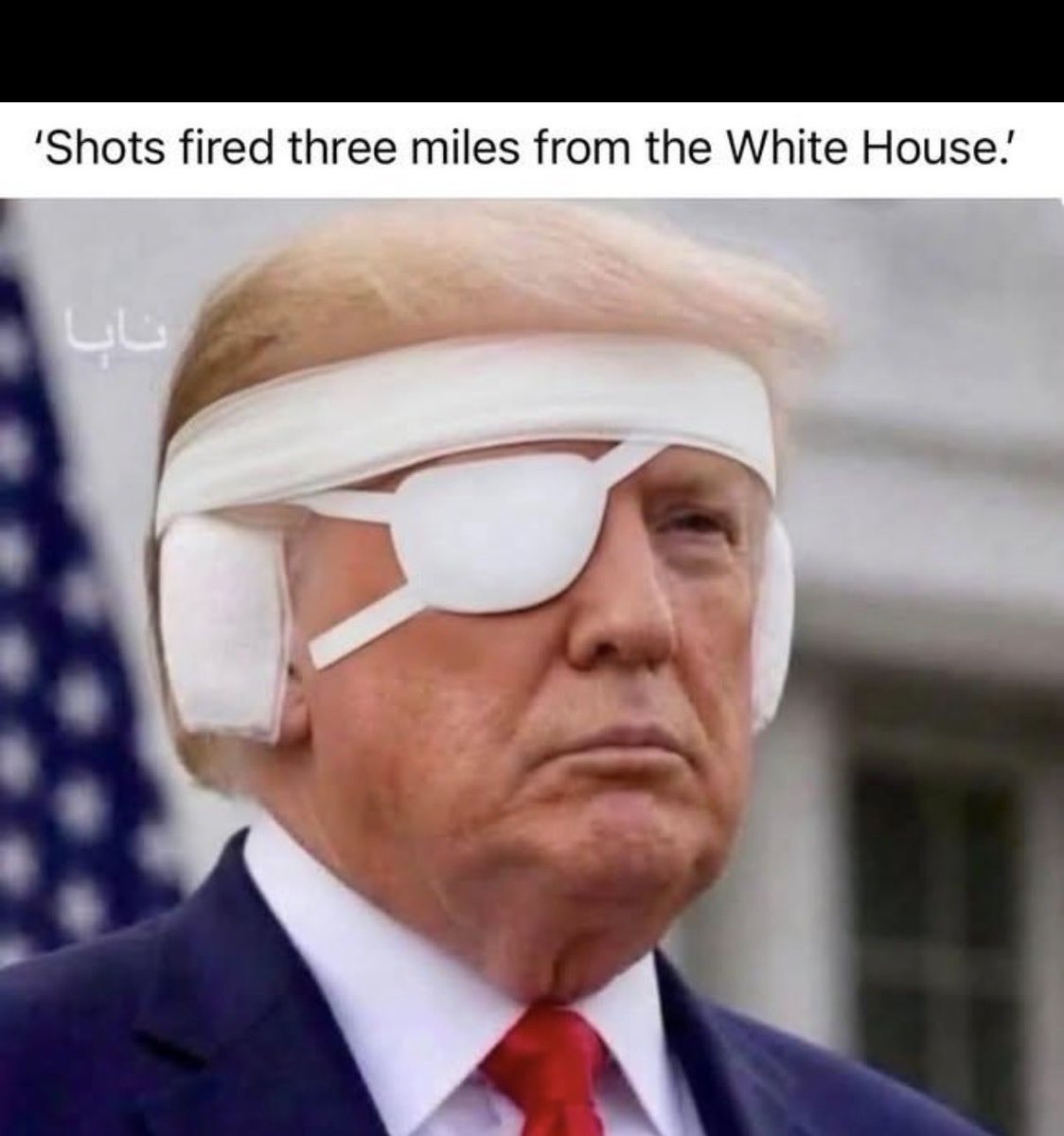 Ed tweet media