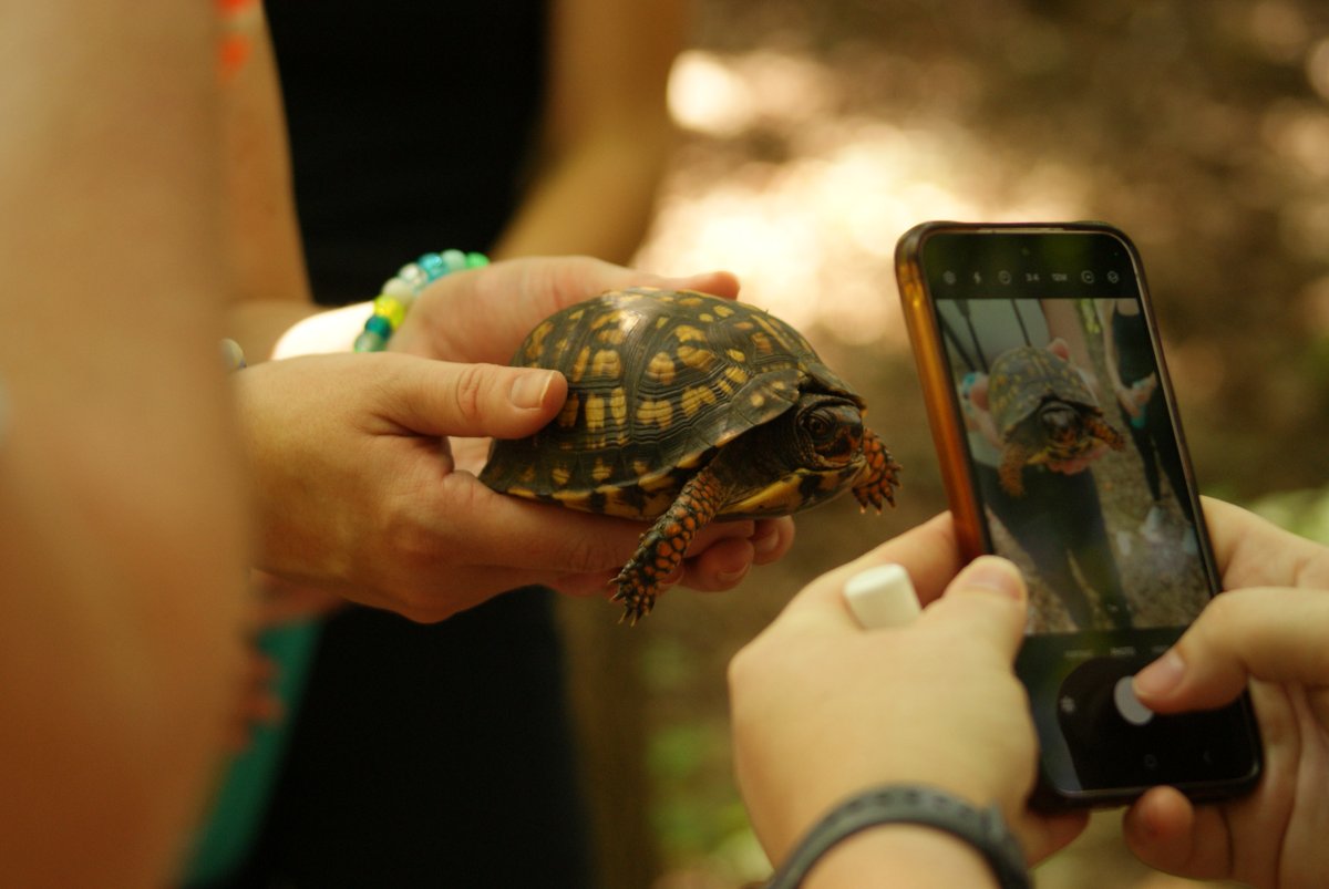 sanctuaries's tweet photo. At the end of April, Mallows Bay-Potomac River National Marine Sanctuary held their annual BioBlitz: a community science event where volunteers collect observations of different species in the sanctuary.

#NoteFromTheField: https://t.co/9sYaxpv9wL.

📸: Charles County, NOAA https://t.co/2rGnp71MZT