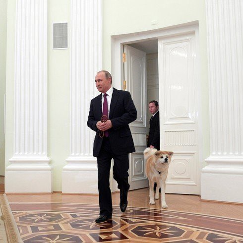 Вестник tweet media