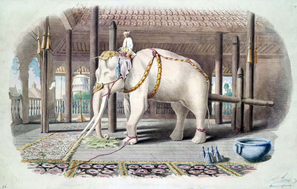 dionysius_80's tweet photo. The King of Siam had an unusual way of punishing courtiers he disliked, he would gift them a white elephant. Since the white elephant was considered sacred, it could not be sold, killed, or given away, so the cost of caring for it would gradually ruin the unfortunate recipient. This is where we get the phrase "white elephant" today, referring to something you own that costs more trouble than it is worth.