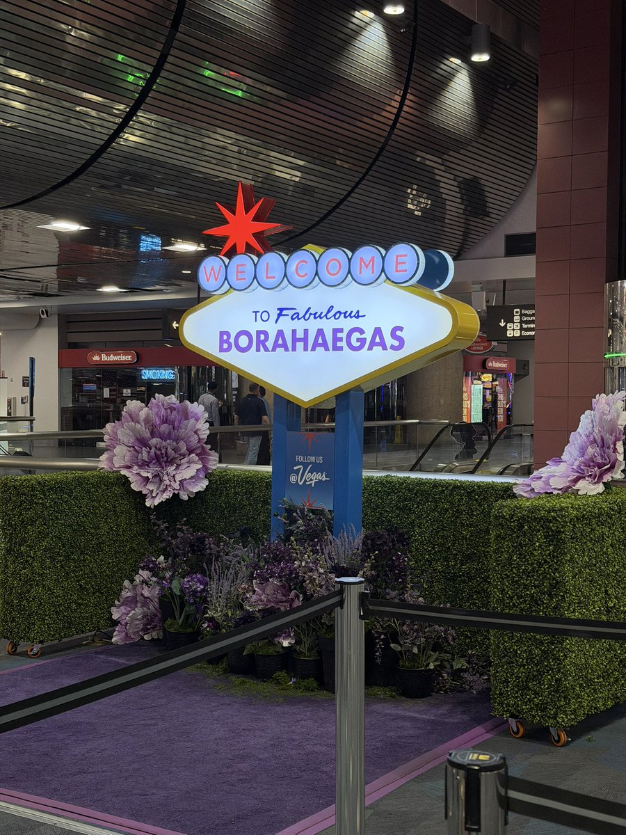 s⁷ jk’s gf ✈️ borahaegas!! tweet media