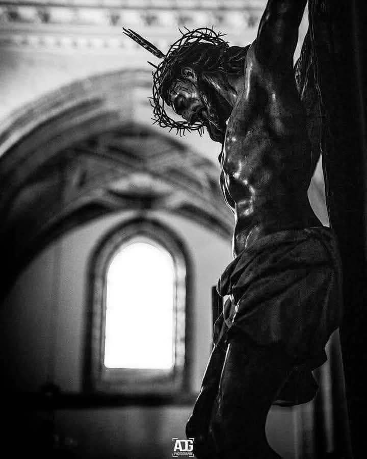 🇻🇦 tweet media
