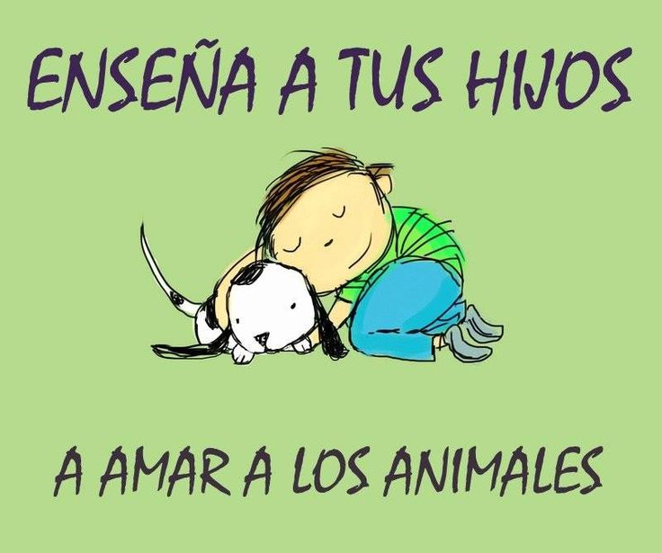 rey_latino33087's tweet photo. https://t.co/VKnl4MZHfI