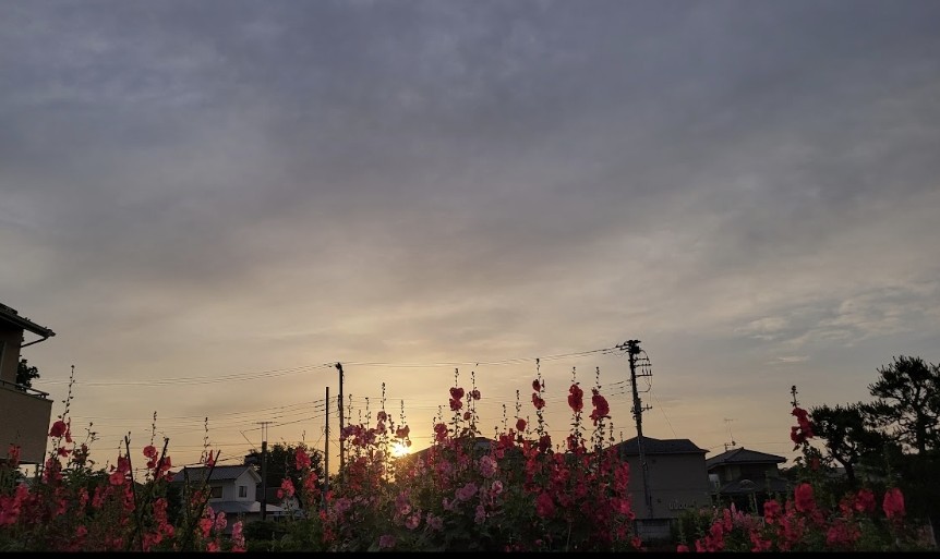 希ノ子森野 tweet media