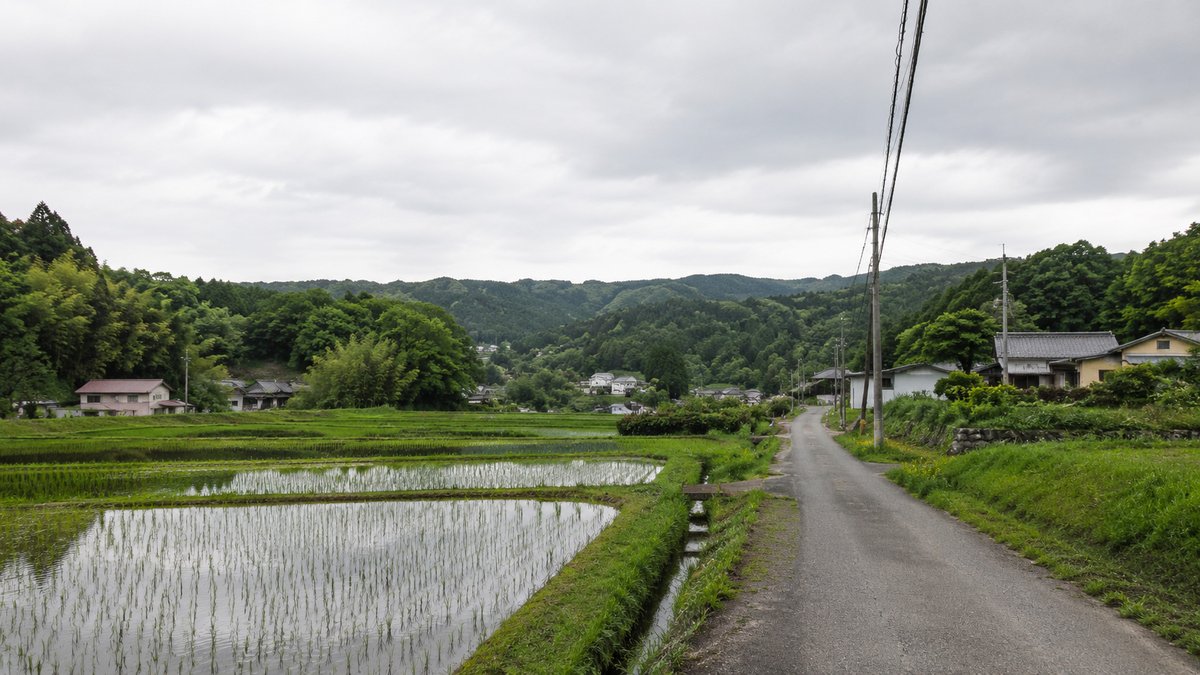 QuatreMusic's tweet photo. おはようございます🌿

今日は曇り空で
地域によっては雨みたいだね☁️
空がどんよりしていると
気持ちまで少し重たくなりそうだけど

そんな日こそ
無理に元気を出さなくても大丈夫。
今日もできることを
ひとつずつでいいよね🫧

あたたかい飲みものでも飲みながら
やさしく朝を始めていこう🌿
みなさんのところのお天気はどうですか？

こんな朝、気分を上げるために
やってることがあれば教えてください☔

#Healing #RuralJapan