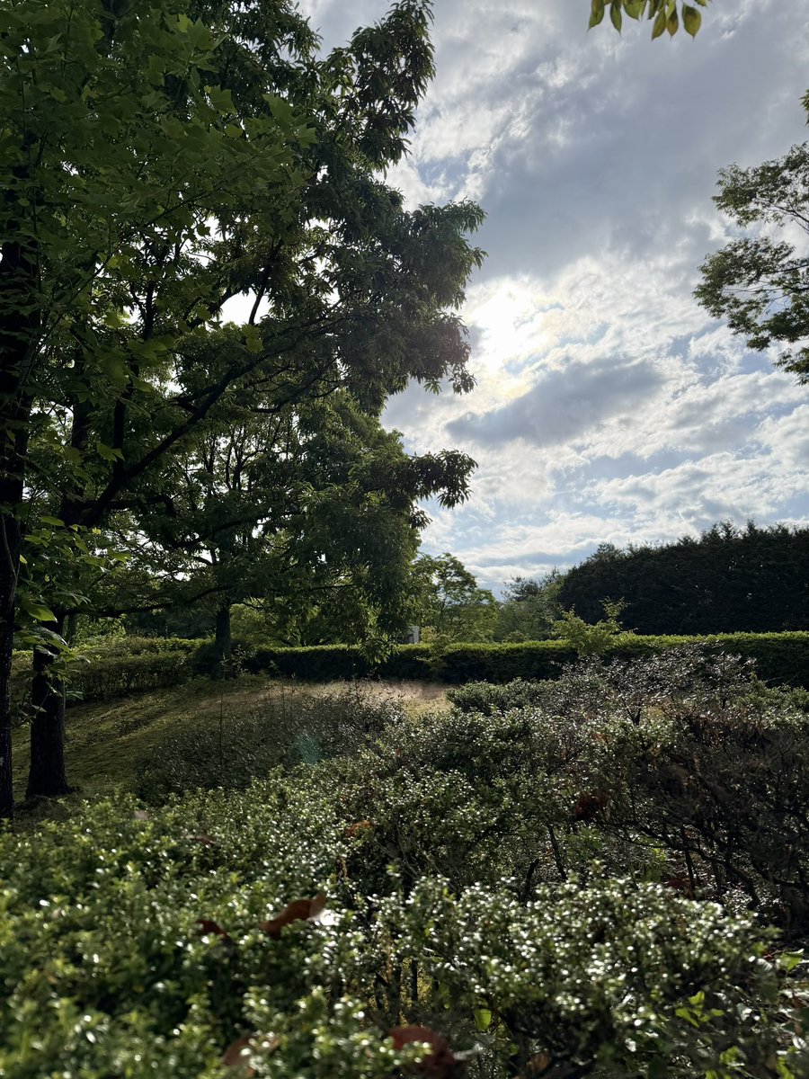 misu_yacho's tweet photo. * 
散策のBGMは四十雀・鶯ヘッドフォンのかはりに

#短歌
#NHK短歌 
#短歌写真部 https://t.co/r9m8RUQ0rz