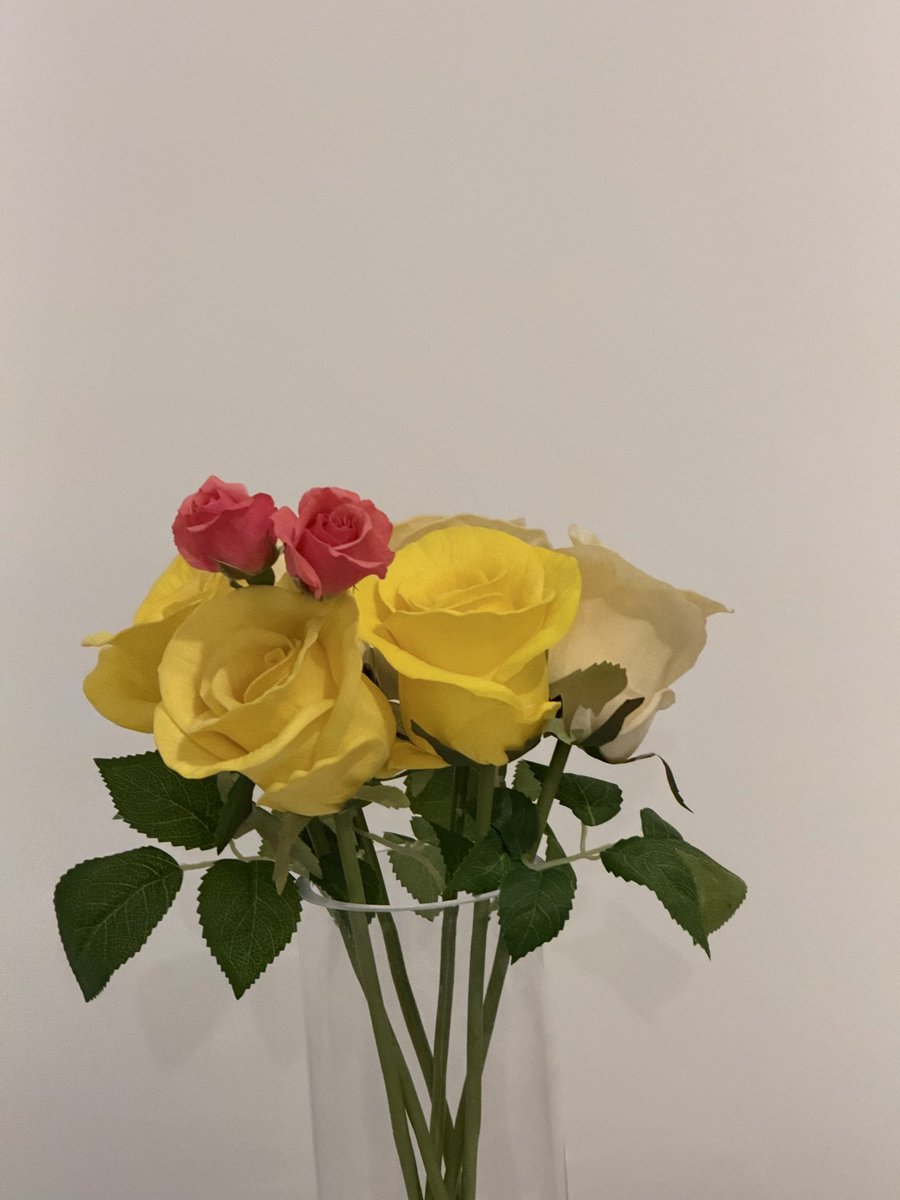 fh080's tweet photo. قبولك … بأقل ما تستحق
هي .. بداية لتنازلات أنت في غنى عنها
فكن .. قويًا ترتقي بشخصيتك للأعلى
ولا تُرضِي أحدًا على حساب سمعتك ومكانتك ونزاهتك 💐 https://t.co/G1LLXkwny5