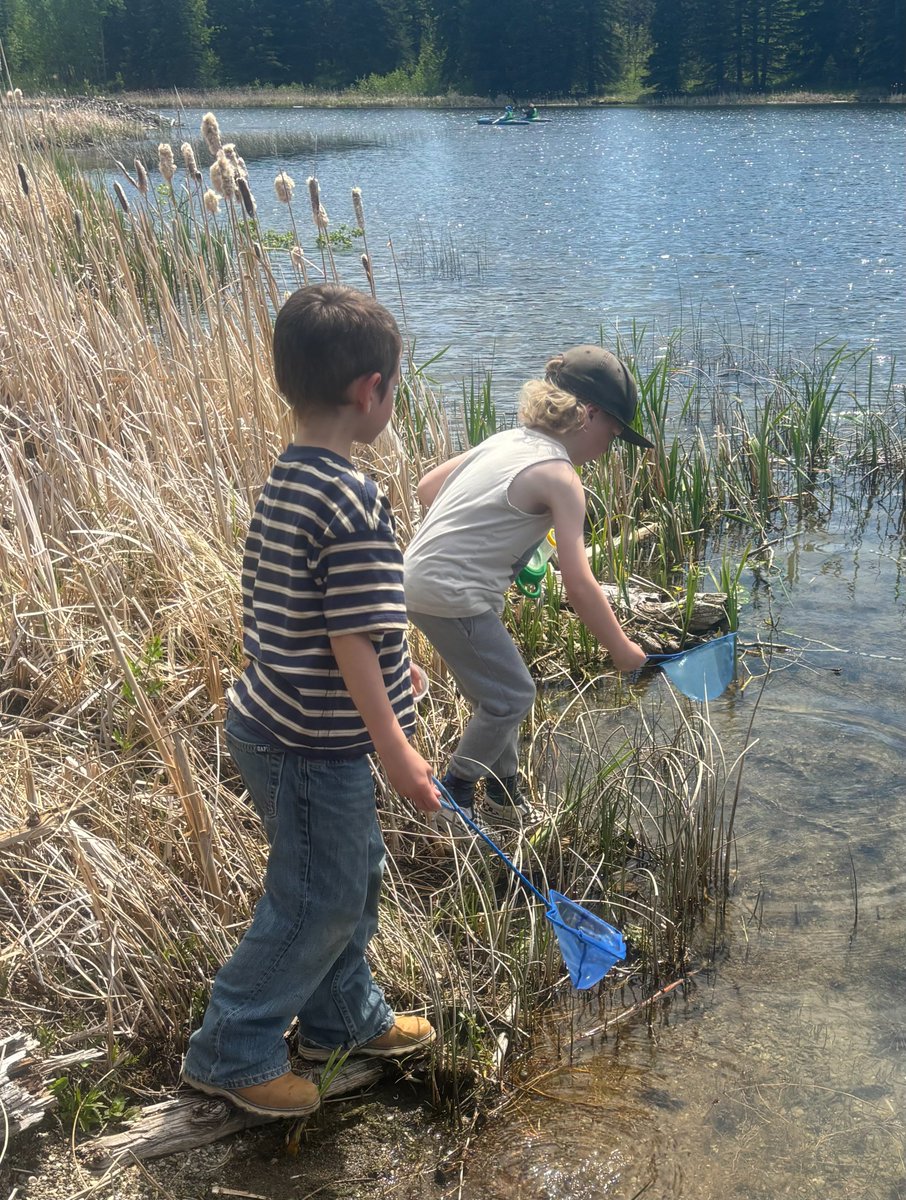 HAS_LRSD's tweet photo. Grade 1 students had an awesome day at Beauvais Lake Provincial Park! Students became park detectives, searching for clues to discover who was changing the lake, and explored the wetland area looking for animals that live there. https://t.co/yzDJqGnBSn