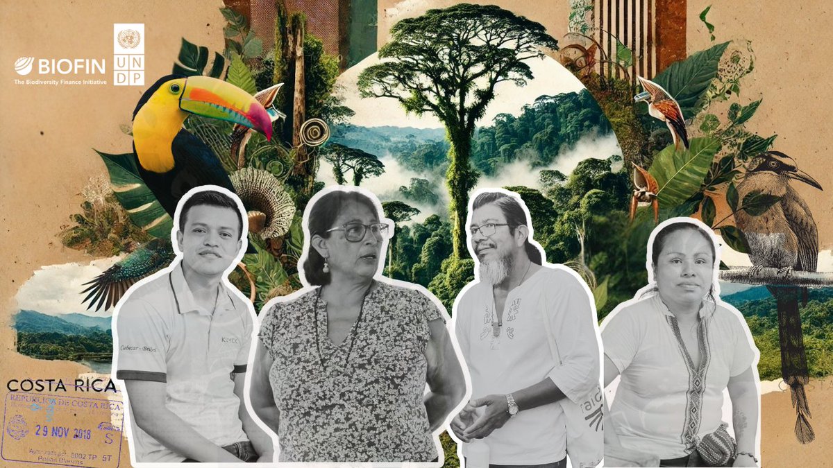 UNDP's tweet photo. Indigenous entrepreneurs are redefining eco‑tourism in Costa Rica.

Through @theGEF and our BIOFIN initiative, startups rooted in ancestral knowledge are protecting nature and livelihoods to #FinanceTheFuture ahead of the #GEFAssembly2026. https://t.co/5ItIRxW2q1 https://t.co/LMUnh9ZJxC