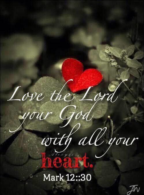Jo-Ann✝️❤️🇷🇺 tweet media