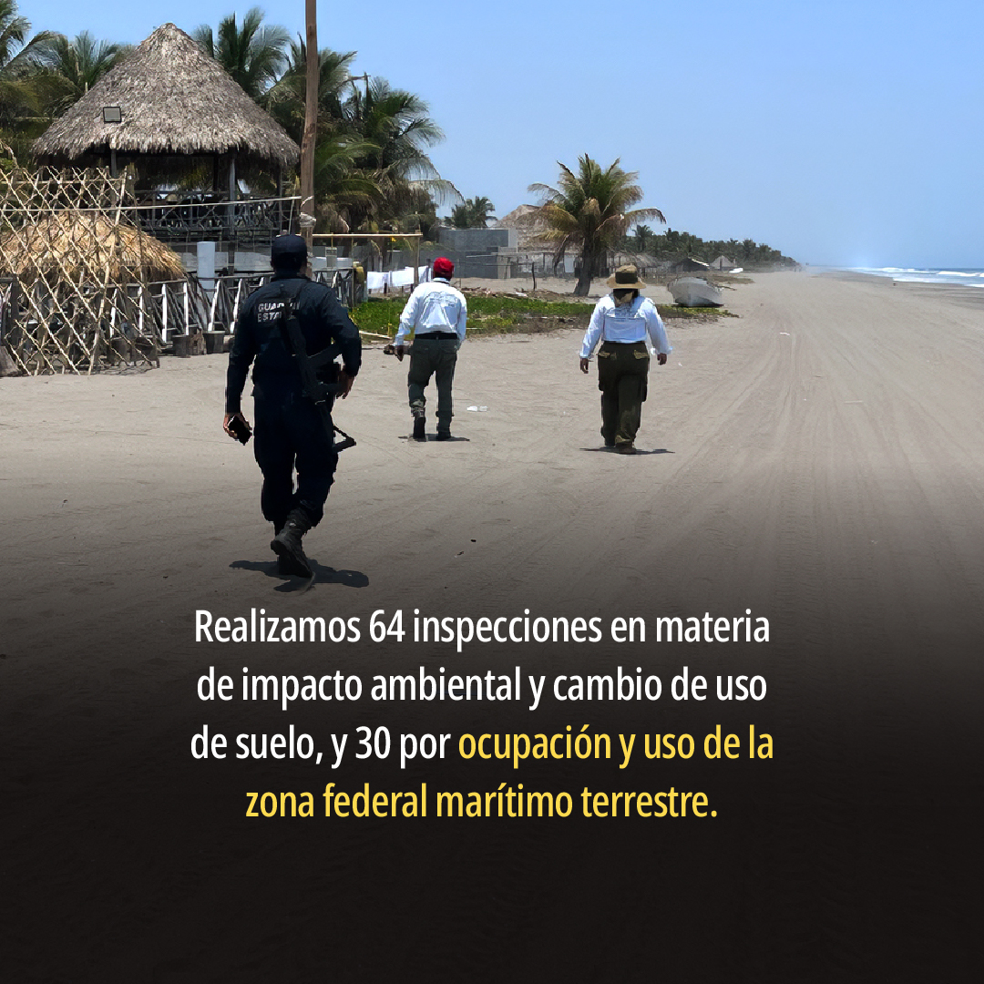 PROFEPA tweet media